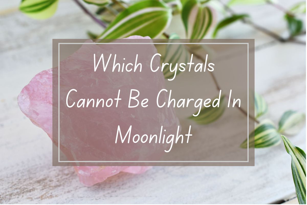 Pink raw rose quartz crystal, article about crystals that shouldn't be charged in moonlight.