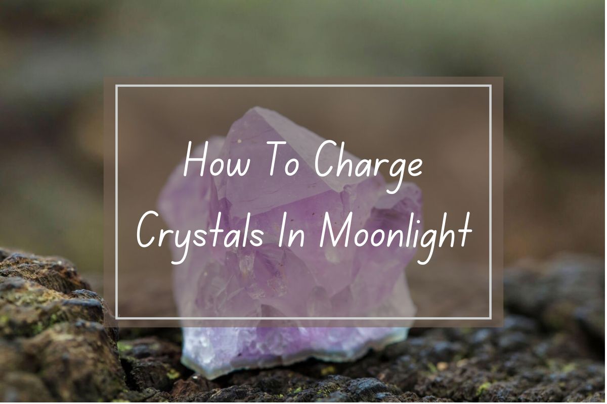 Amethyst crystal, charging in moonlight.